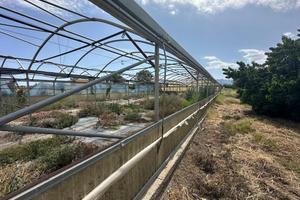 Terreno Agricolo Milazzo [TA004VCG]