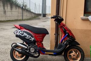 Zip sp pista
