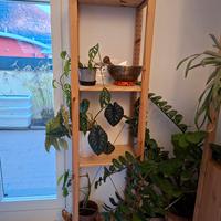 IVAR IKEA Scaffale legno d'abete 