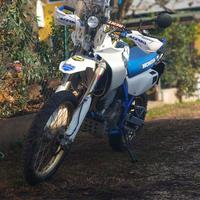 Honda dominator 650 rally