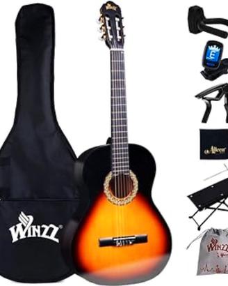 chitarra winzz