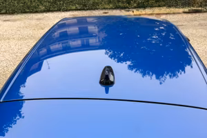 Golf 8 1/2