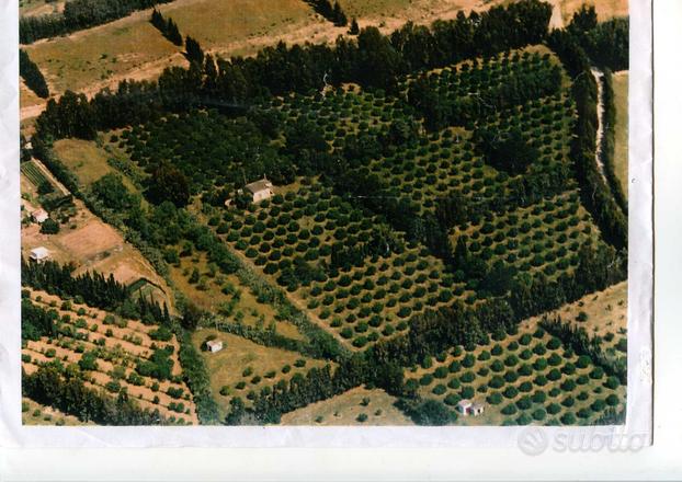 Terreni con casa a 7 km da capo ferrato