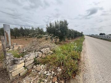 Terreno Agricolo - Massafra