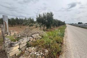 Terreno Agricolo - Massafra