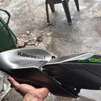 Paraserbatio fianchetto destro z900