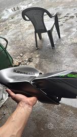 Paraserbatio fianchetto destro z900