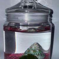 ACQUARIO MARIMO