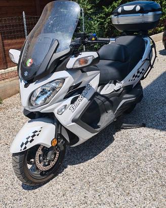 Burgaman 650 executiv