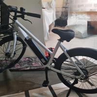 bici elettrica 