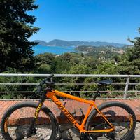 Cannondale Fsi carbon 2