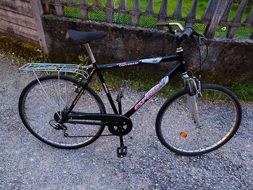 bicicletta  ruote 28