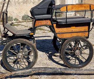 Carrozza modello Wagonette