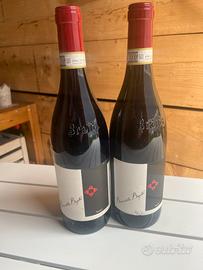 Bottiglie vino barbera