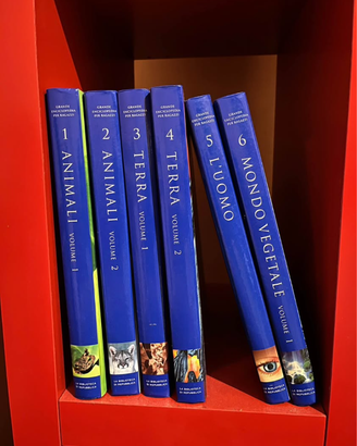 24 volumi Grande Enciclopedia per ragazzi
