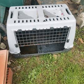 trasportino per cane