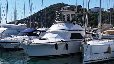 Bertram 37 t-top