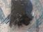 Immagine 6