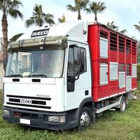 Iveco Eurocargo 75e14 trasporto animali mt 4,30