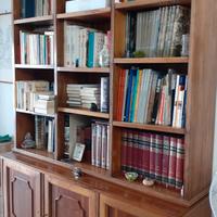 libreria in noce con sportelli