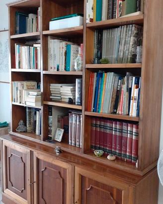 libreria in noce con sportelli