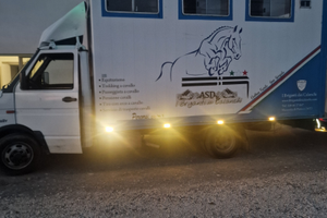 Daily trasporto cavalli