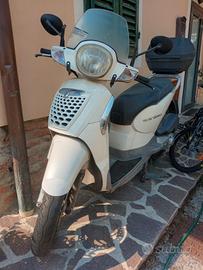 scarabeo LEGGERE BENE