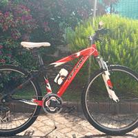 Bici bambino 8-12 anni Ferrini