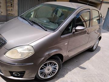 Lancia musa