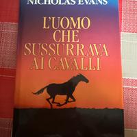 L’uomo che sussurrava ai cavallo