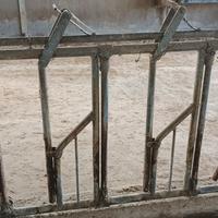 Catturante ovini e caprini