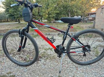 Bicicletta Mountain bike