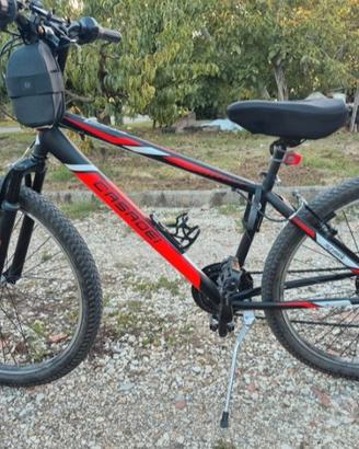 Bicicletta Mountain bike