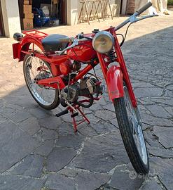GUZZINO / CARDELLINO