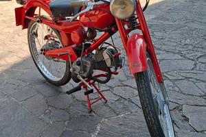 GUZZINO / CARDELLINO