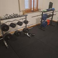 dischi in ghisa 250 kg  foro 25mm