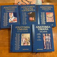 Libri universitari anatomia medicina