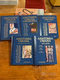 Libri universitari anatomia medicina