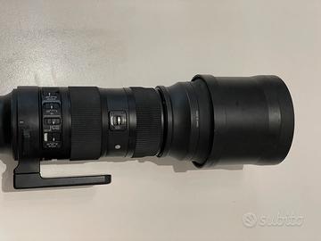 Sigma 150-600 Sport nikon