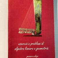 Esercizi e problemi di algebra lineare e geometria