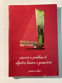 Esercizi e problemi di algebra lineare e geometria