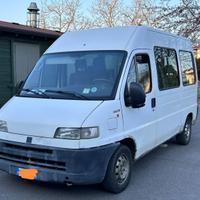 fiat ducato 9 posti
