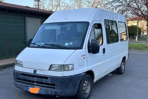 fiat ducato 9 posti