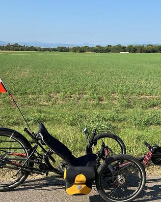 Triciclo reclinato ICE Sprint X Tour