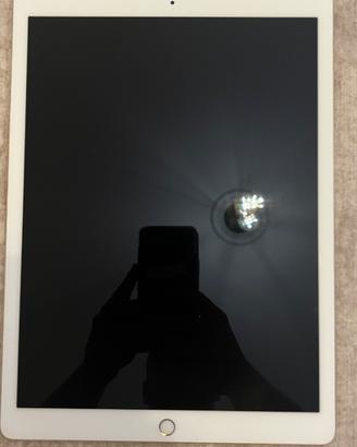 APPLE I PAD 12.9 pro 2nd gen 