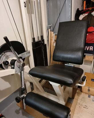 leg extension  technogym 