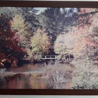 Thermoquadro Leonardo quadro riscaldante