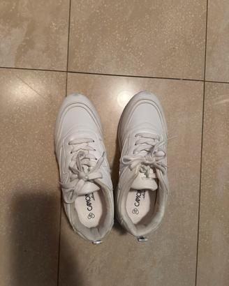 Scarpe ginnastica