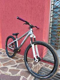 rose the Bruce dirt  tg M 2022