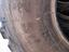 Immagine 12